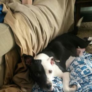 Meet your Posher, Tammie